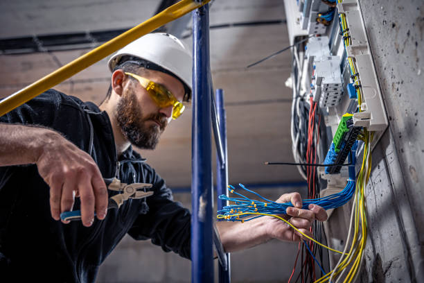 Best Electrical Troubleshooting Services  in Eustis, FL