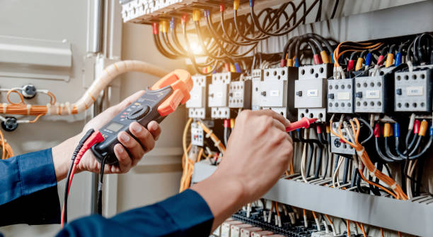 Best Electric Panel Repair  in Eustis, FL