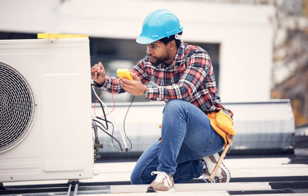 Best Affordable Electrician  in Eustis, FL
