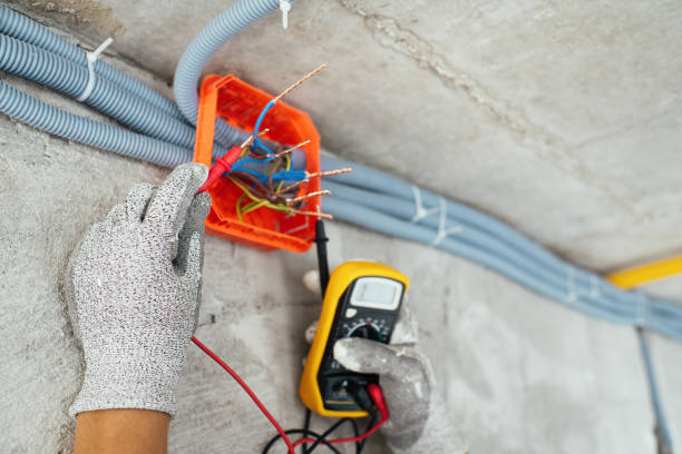 Best Generator Installation Services  in Eustis, FL